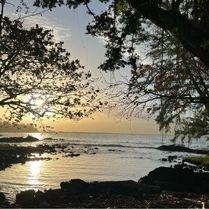 Meet your Posher, Georgia